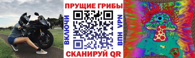 Псилоцибиновые грибы Magic Shrooms  Купить закладки  Карабаш 